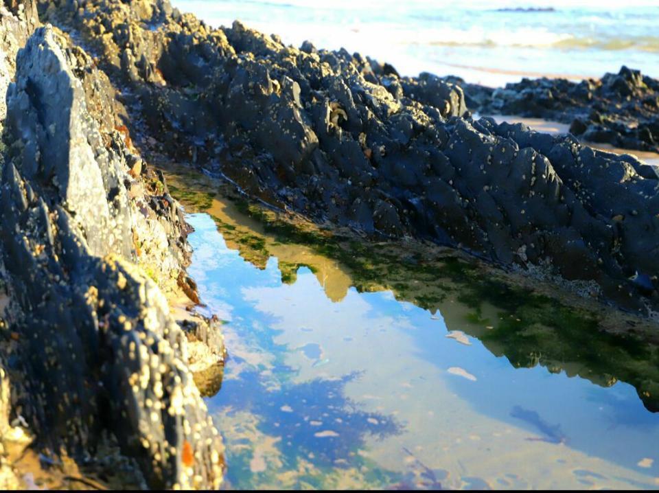 Entre Mer Et Foret Beach House Garden Route Natureʼs Valley Exterior foto